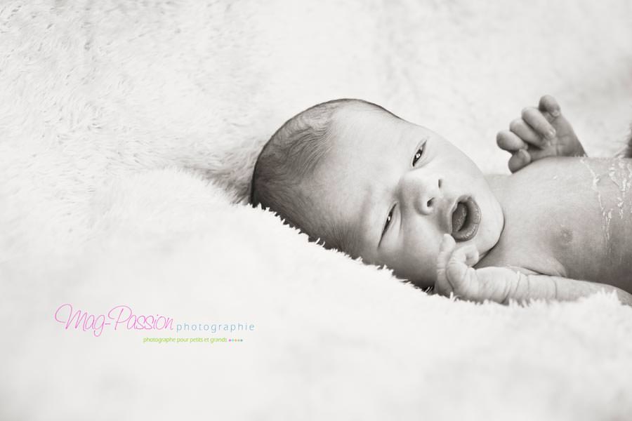 IMG_7604-as-Smart-Object-1